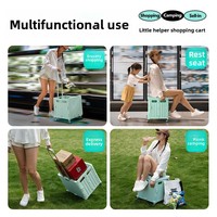 D5505 Chariot de courses pliable portable en fer pour supermarché, chariot de transport pliable, petit chariot à bagages