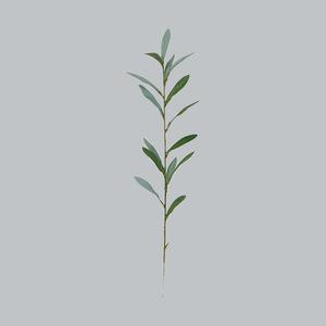 Feuille d'olivier artificielle Mengjie, plante verte à tige unique de 50 cm, fleur en soie pour décorations de mariage et arrangements floraux - Product Image 4