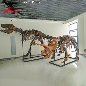 <span class=keywords><strong>Esqueleto</strong></span> de dinosaurio grande para museo, alta calidad, tamaño real - Product Image 2