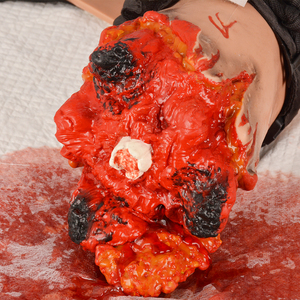 Simulador de brazo para entrenamiento con torniquete y kit de heridas, modelo de entrenamiento para control de hemorragias y hemostasia en brazo fracturado, herida simulada - Product Image 5