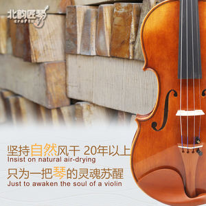 Violon d'étude CHENTUO CT4.0 4/4, table en épicéa massif, flancs en érable, touche en ébène, 4 cordes, étui inclus - Product Image 3