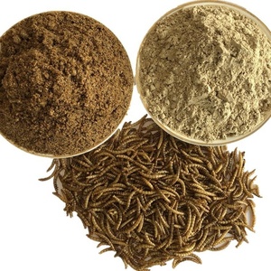 Polvere Proteica di Tenebrio per Mangimi Animali per Cavalli, Maiali, <span class=keywords><strong>Pesci</strong></span>, Cani e Polli - Product Image 2