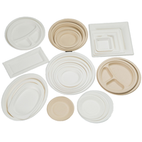 100% Vaisselle en papier jetable biodégradable Bagasse de canne à sucre Ensembles d'assiettes jetables Vaisselle