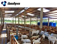 IBeehive - Gallinero Prefabricado con Estructura de Acero y Diseño Industrial para Granjas Avícolas, Edificio Impermeable para Granjas Avícolas