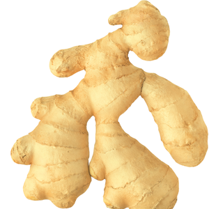 Nuestro objetivo principal es exportar 1kg de jengibre y ajo joven de alta calidad de Vietnam a precios competitivos de buena calidad - Product Image 5