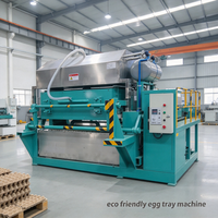 Machine à plateaux à œufs en pâte à papier, directement de l'usine, pour usage commercial, avec forte adaptabilité au mélange de pâte.