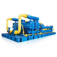 Compresor de alta presión de nitrógeno de hidrógeno de Gas Natural de estación CNG para transporte de Gas/aplicación marina
