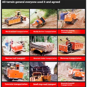 2 tấn <span class=keywords><strong>Mini</strong></span> <span class=keywords><strong>Crawler</strong></span> <span class=keywords><strong>Dump</strong></span> Truck cho off-road Giao Thông Vận Tải Điều kiện mới xây dựng trang trại xe với động cơ bơm thành phần cốt lõi - Product Image 5