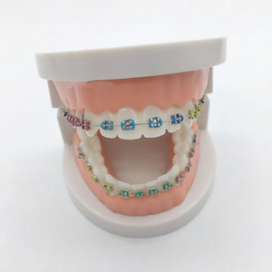 <span class=keywords><strong>2025</strong></span> Großhandel Kiefer ortho pä dische Dental zubehör Mode Bracket Arch Wire Mehrzweck-Mundhygiene-Zahnspangen - Product Image 1