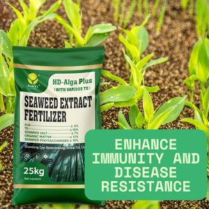 Engrais en poudre à base d'extrait d'algues pour le contrôle des maladies racinales, l'amélioration des sols, organique avec oligo-éléments - Product Image 5