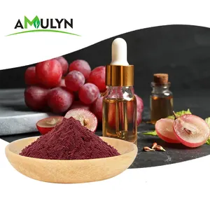 Amulyn Druivenzaad Extract Poeder 95% Oligomere Proanthocyanidinen Opc