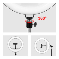 Zomei Anneau lumineux LED photographique de 12 pouces, lampe de studio pour selfie et maquillage avec contrôle par interrupteur, portable, bicolore 3000-6500K