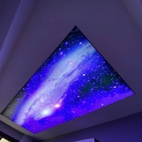 Material de Techo Económico, Plafón Falso de Plástico, Tablero de PVC, Interior Impreso, Techo Translúcido con Diseño de Cielo Estrellado