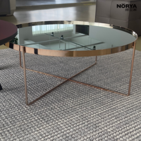 NORYA Tables basses modernes de luxe portables avec plateau miroir, tables d'appoint rondes, pieds en métal doré, meubles de salon écologiques