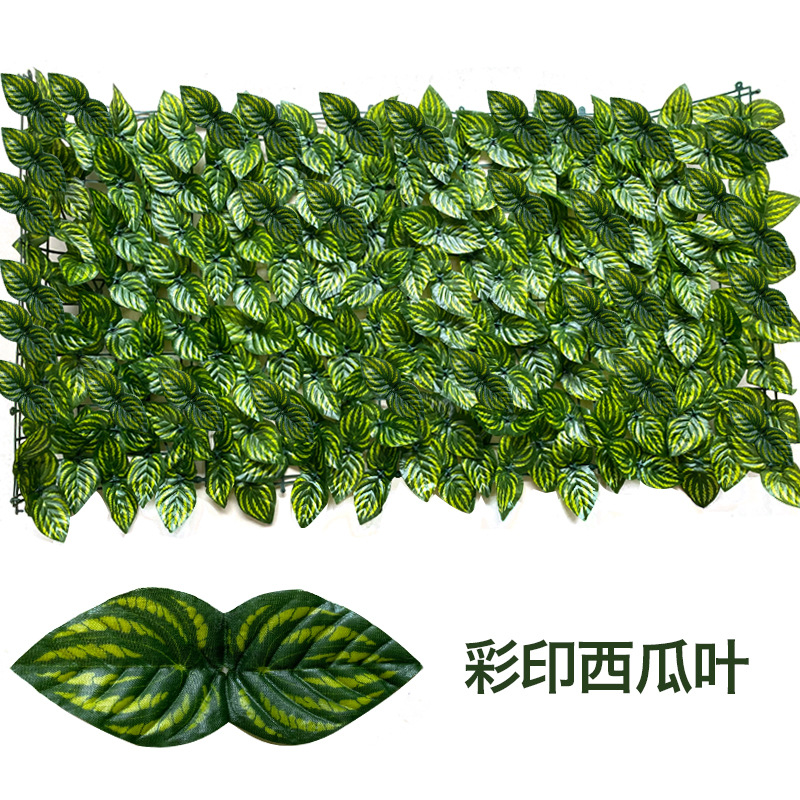 Feuilles de pastèque imprimées en couleur