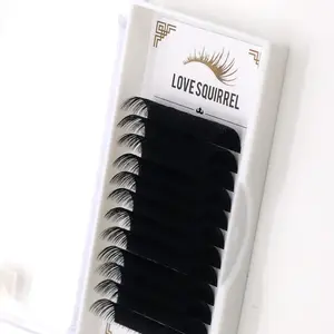 L'amour écureuil Chine Qingdao Individuels Faits À La Main Cils Extensions Et Mat Naturel Noir Classique Extension De Cils Pour La Beauté