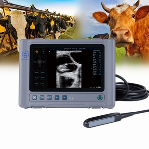Échographe vétérinaire portable numérique T1 pour diagnostic de grossesse chez les animaux (chiens) – USG portatif - Product Image 1
