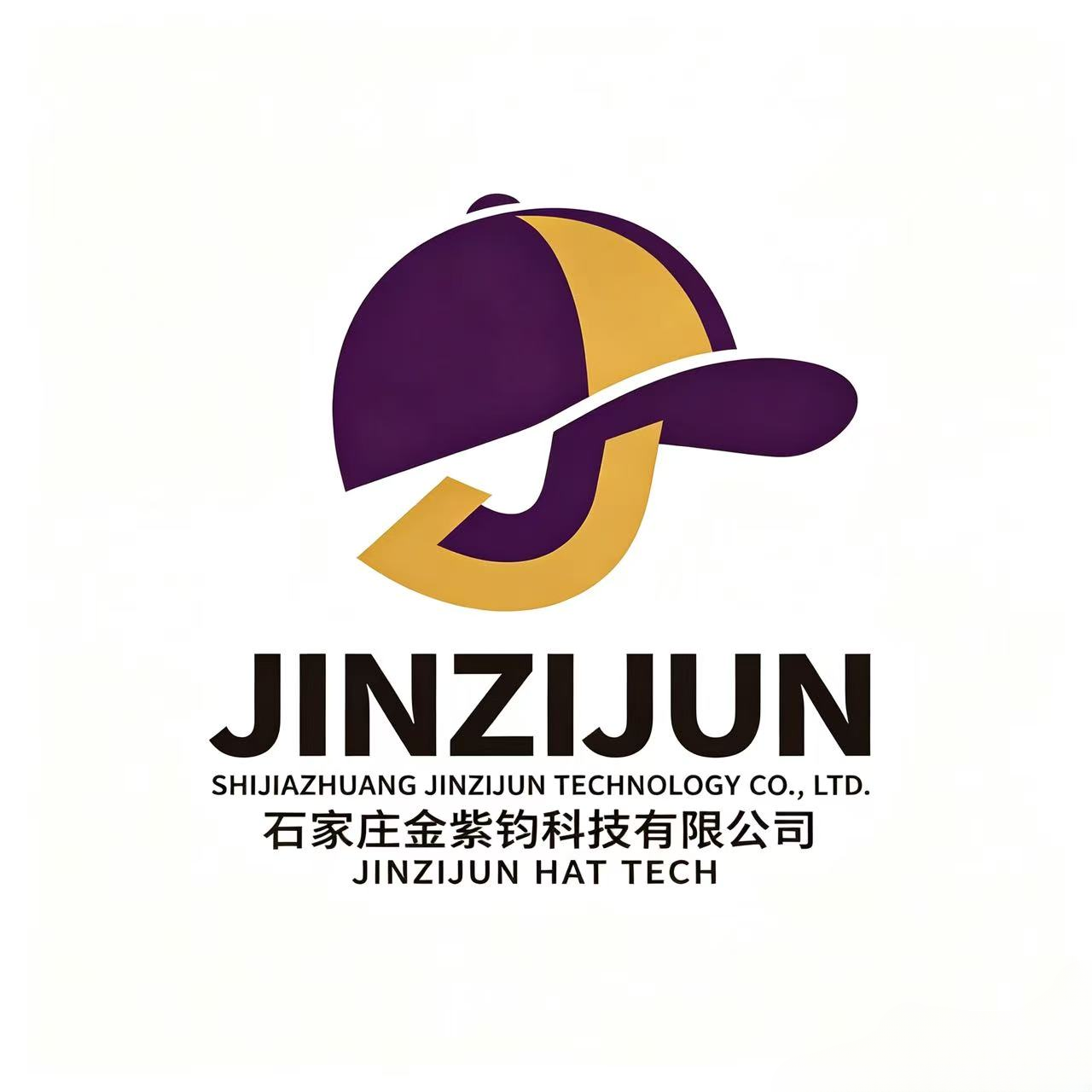 Shijiazhuang Jinzijun Technology Co., Ltd. logo