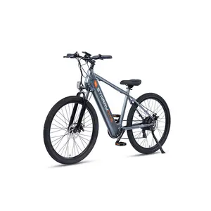 Phoenix 7 velocità 350w 36v 13ah batteria al litio alluminio urbano Mountain bicicletta elettrica
