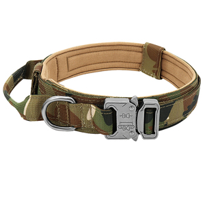 adjustable puppy collar