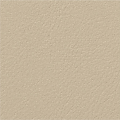 NP309 Crema quemada 13-1006TPG