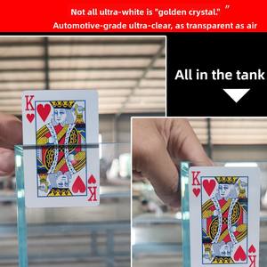 Aquarium en verre ultra-clair de taille personnalisée, grand, moyen, petit, pour plantes aquatiques, paysages aquatiques, eau de mer, tortues - Product Image 5