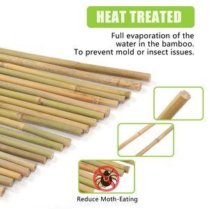 Stock US, livraison en 10 jours, 25 pièces de bâtons de <span class=keywords><strong>bambou</strong></span> naturel de 2 pieds piquets de jardin en bois pour tomates, haricots, fleurs, plantes grimpantes - Product Image 2