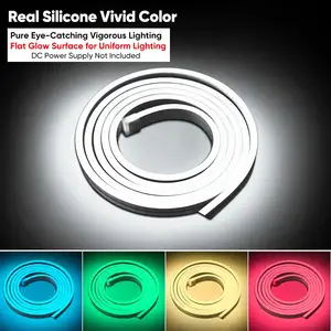 Popular 12V Multi Color Rgb Flexible Led Neon Light For Night Bedroom Decoration With SMD 3838