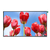 Écran LCD TFT IPS FHD 15,6 pouces, résolution 1920*1080, module LCD EDP 30 broches, écran d'ordinateur portable, vente chaude