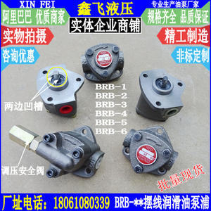 Pompe à huile lubrifiante cycloïdale triangulaire en fonte BRB-1 BRB-2 BRB-3 BRB-4 BRB-5 BRB-6, pompe de régulation de pression - Product Image 1