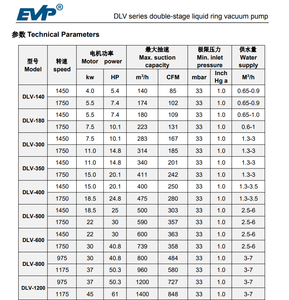 DLV 800 SS304 Ring Vacuum <b>Pump</b> Double Stage Bare - Product Image 6
