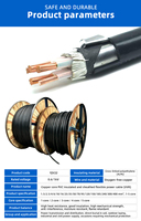 Cable de Alimentación Subterráneo YJV22 de 0.6/10kV con Doble Blindaje para Estaciones de Energía, Minería e Ingeniería, Cableado Antipresión