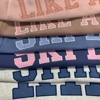 Sweat-shirt à capuche en molleton épais personnalisé avec broderie en coton, col roulé oversize, col montant, pour femme, vente en gros