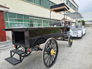 Carroza Fúnebre Eléctrica Negra con Cubierta de Vidrio / Carroza para Ataúd Tirada por Caballos - Product Image 4
