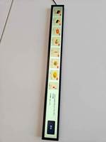 Terminal de commande intelligent mural avec écran tactile LCD fin de 23,1 pouces