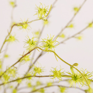 Fleur artificielle en forme de grain de riz et de saule des neiges, 118 cm, suspendue, pour décoration intérieure, mariage, maison - Product Image 3