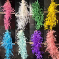 Fougère Plumosa Séchée Naturelle, Feuille Décorative Verte pour Bouquet et Décoration de Fête, OEM