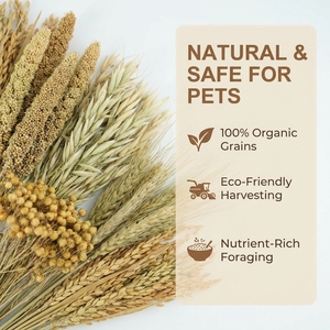 Mezcla de Alimento Natural para Mascotas con Flores Secas, Ecológica, Sin Aditivos, de Mijo, Avena, Cebada, Trigo, <span class=keywords><strong>Pampa</strong></span> y Cola de Conejo, para Hámsteres y Animales Pequeños - Product Image 5