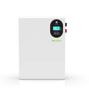 Batterie murale au lithium pour onduleur solaire 48V 200ah Lifepo4 10kwh batterie de stockage d'énergie domestique