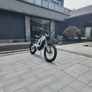 Starye 2026 Version Améliorée Light Bee X 10000W 80km/h 295N.m Vélo Électrique Tout-Terrain 72v 35ah <span class=keywords><strong>Moto</strong></span> Électrique LBX pour Adultes et Garçons - Product Image 4