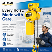 Palans électriques à chaîne Allman 380V 2 tonnes IP54 de type robuste avec chariot motorisé pour la construction de grues et le levage