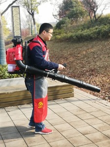 Gasolina/gasolina 25,4cc mini jardim mão nevoeiro folha soprador de neve - Product Image 5