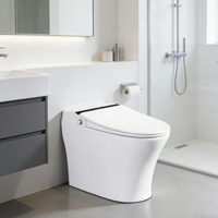 WC intelligent monobloc en céramique, design européen, à poser au sol, allongé, avec chasse d'eau par siphon, télécommande et chauffage instantané du siège.
