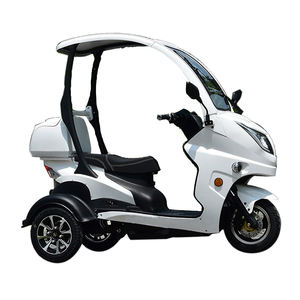 Cee COC trois <span class=keywords><strong>roues</strong></span> Super roue 1200w véhicules à moteur Sport tricycle électrique <span class=keywords><strong>moto</strong></span> pour adulte - Product Image 1