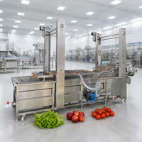 Fruitwasmachine Groentebellenwasmachine Groentewasmachine Citroenwasmachine Machine Fruit- en groentewasmachine