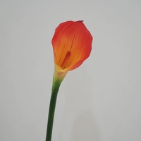 Fleur de calla artificielle en latex de haute qualité, toucher réaliste, pour mariage, décoration de table, événements