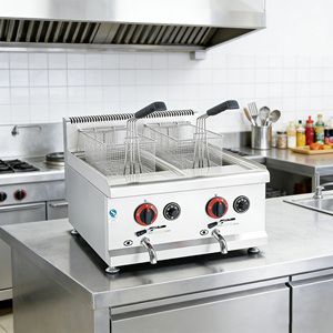 Friteuse industrielle à gaz double cuve 14L+14L pour frites, design relevable, pour comptoir, conforme aux normes alimentaires commerciales - Product Image 4