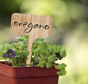 100Pcs Bamboo Plant Labels <strong>Garden</strong> Markers T-Type Tags <strong>Wooden</strong> Plant Sign Tags Eco-Friendly Gardening Wood <strong>Stakes</strong> <strong>for</strong> Seed Herbs - Product Image 3