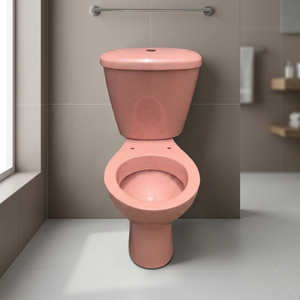 WC rustique bicolore en céramique, design moderne, qualité export usine Morbi - Product Image 3