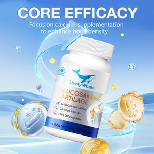 . מפעל לוויתן תוסס oem/odm גלוקוזאמין chondroitin סידן | התאמה אישית - Product Image 3